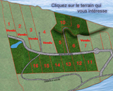 logo Bois� de l'Anse